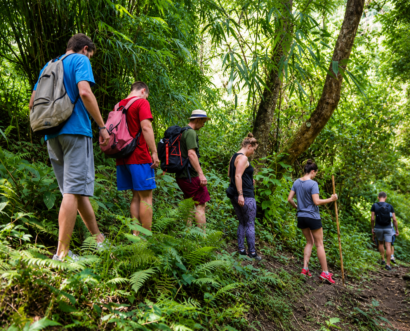 Mixed group retreat in Thailand — mountains and spiritual landscape